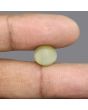 Quartz Cat's Eye - 6.39 Carat 