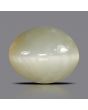 Quartz Cat's Eye - 6.38 Carat 