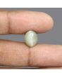Quartz Cat's Eye - 6.38 Carat 