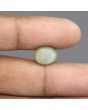 Quartz Cat's Eye - 6.38 Carat 