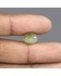 Quartz Cat's Eye - 6.01 Carat