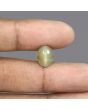 Quartz Cat's Eye - 6.01 Carat