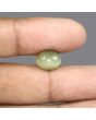 Quartz Cat's Eye - 5.64 Carat 