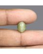 Quartz Cat's Eye - 5.64 Carat 