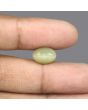 Quartz Cat's Eye - 6.51 Carat 