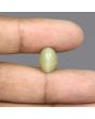 Quartz Cat's Eye - 6.51 Carat 