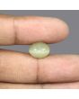 Quartz Cat's Eye - 7.19 Carat 