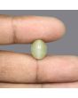 Quartz Cat's Eye - 7.19 Carat 