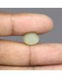 Quartz Cat's Eye - 7.19 Carat 