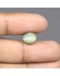 Quartz Cat's Eye - 5.79 Carat 