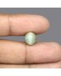 Quartz Cat's Eye - 5.79 Carat 