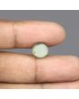 Quartz Cat's Eye - 5.79 Carat 