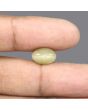 Quartz Cat's Eye - 5.94 Carat 