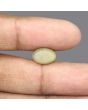 Quartz Cat's Eye - 5.94 Carat 