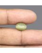 Quartz Cat's Eye - 5.82 Carat 