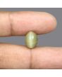Quartz Cat's Eye - 5.82 Carat 
