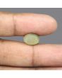 Quartz Cat's Eye - 5.82 Carat 