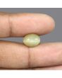 Quartz Cat's Eye - 6.27 Carat 