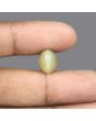 Quartz Cat's Eye - 6.27 Carat 