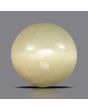 Quartz Cat's Eye - 5.28 Carat 