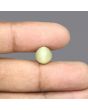 Quartz Cat's Eye - 5.28 Carat 