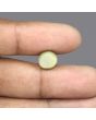 Quartz Cat's Eye - 5.28 Carat 