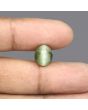 Quartz Cat's Eye - 5.78 Carat 