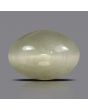 Quartz Cat's Eye - 5.54 Carat 