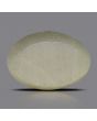 Quartz Cat's Eye - 5.54 Carat 