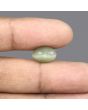 Quartz Cat's Eye - 5.54 Carat 