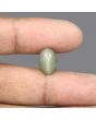 Quartz Cat's Eye - 5.54 Carat 