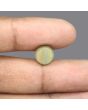 Quartz Cat's Eye - 5.32 Carat 
