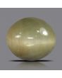 Quartz Cat's Eye - 5.78 Carat 