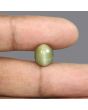Quartz Cat's Eye - 5.78 Carat 