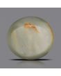 Quartz Cat's Eye - 5.66 Carat 