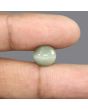 Quartz Cat's Eye - 5.66 Carat 