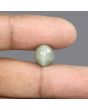 Quartz Cat's Eye - 5.66 Carat 