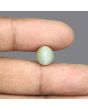 Quartz Cat's Eye - 5.67 Carat 