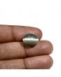 Quartz Cat's Eye (Lehsunia) Carat 11.26 