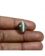 Quartz Cat's Eye (Lehsunia) Carat 11.26 
