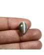Quartz Cat's Eye (Lehsunia) Carat 11.08 