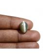 Quartz Cat's Eye (Lehsunia) Carat 7.95 