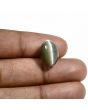 Quartz Cat's Eye (Lehsunia) Carat 11.94 