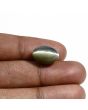 Quartz Cat's Eye (Lehsunia) Carat 11.94 