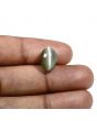 Quartz Cat's Eye (Lehsunia) Carat 7.07 