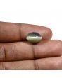Quartz Cat's Eye (Lehsunia) Carat 7.07 