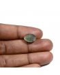 Quartz Cat's Eye (Lehsunia) Carat 7.07 
