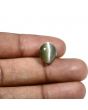Quartz Cat's Eye (Lehsunia) Carat 8.72 