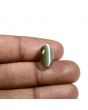 Quartz Cat's Eye (Lehsunia) Carat 8.29 
