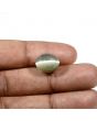 Quartz Cat's Eye (Lehsunia) Carat 8.43 